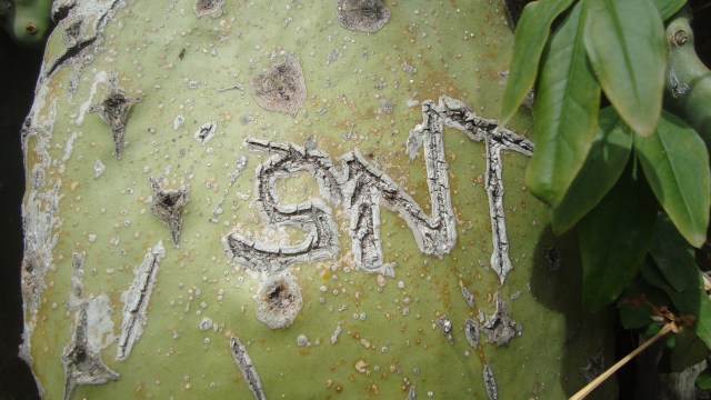 Sacromonte-Garnata, Novembre  2013 - unlucano